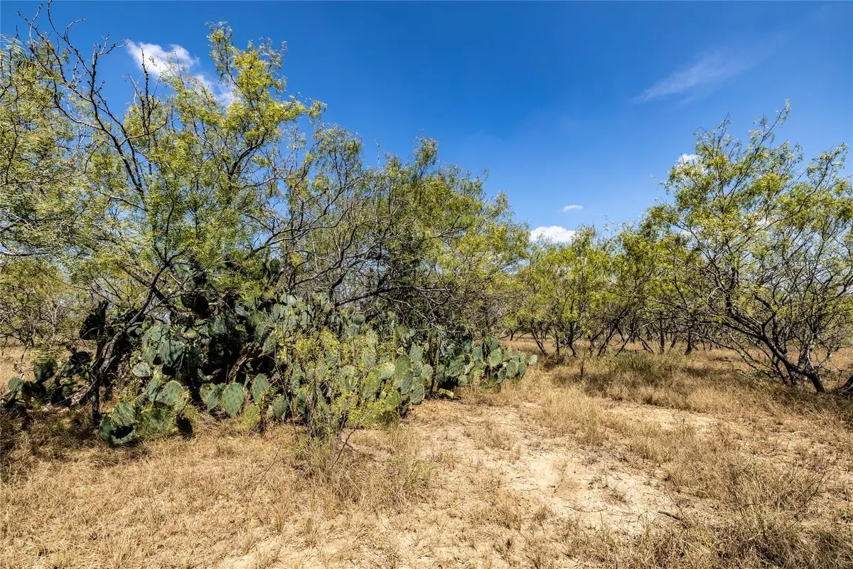 TBD Lot 2 Track Rd, Dale, TX 78616 - Image #1