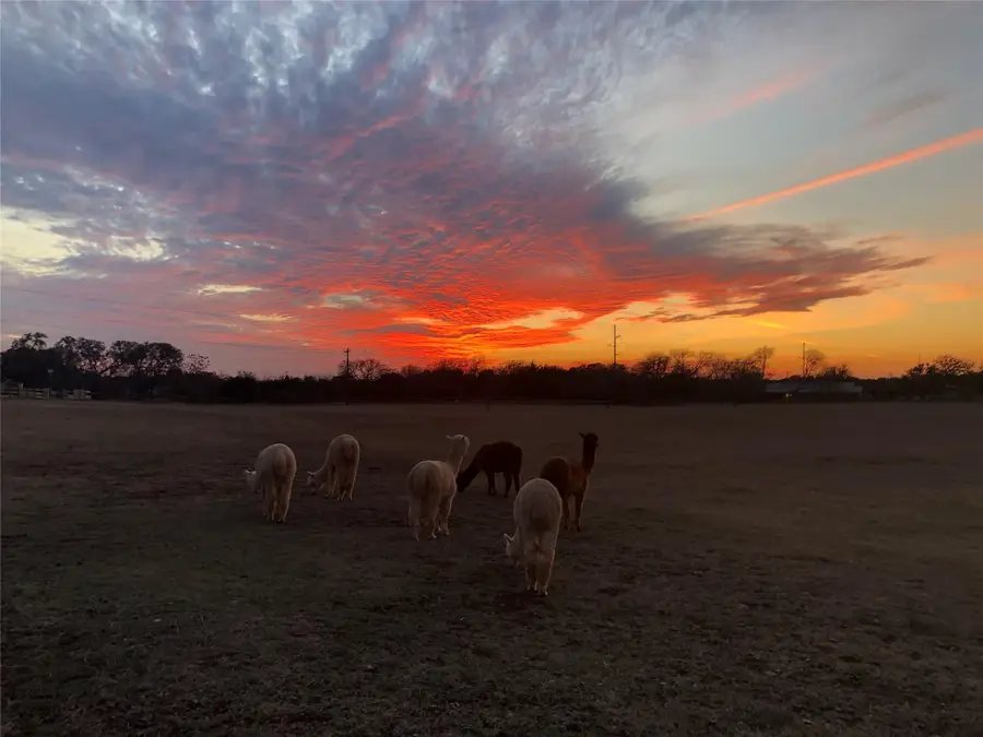 TBD Spanish Oak Trl, Dripping Springs, TX 78620 - Image #2