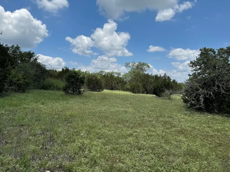 Tract 10B-3 Miller Creek, Briggs, TX 78608 - #3