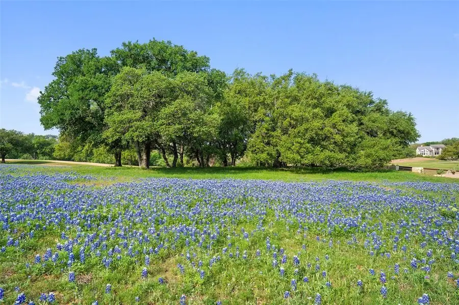 27132 Founders Pl, Spicewood, TX 78669 - #2