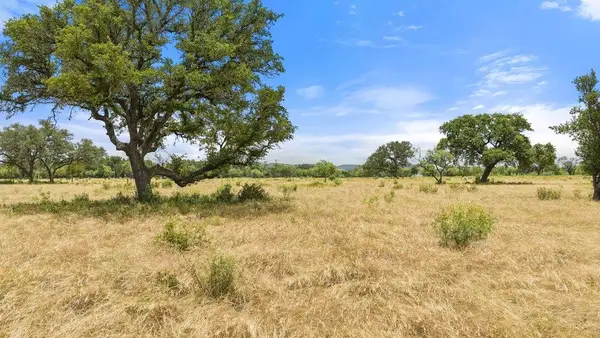 0 Golden Meadow, Johnson City, TX 78636