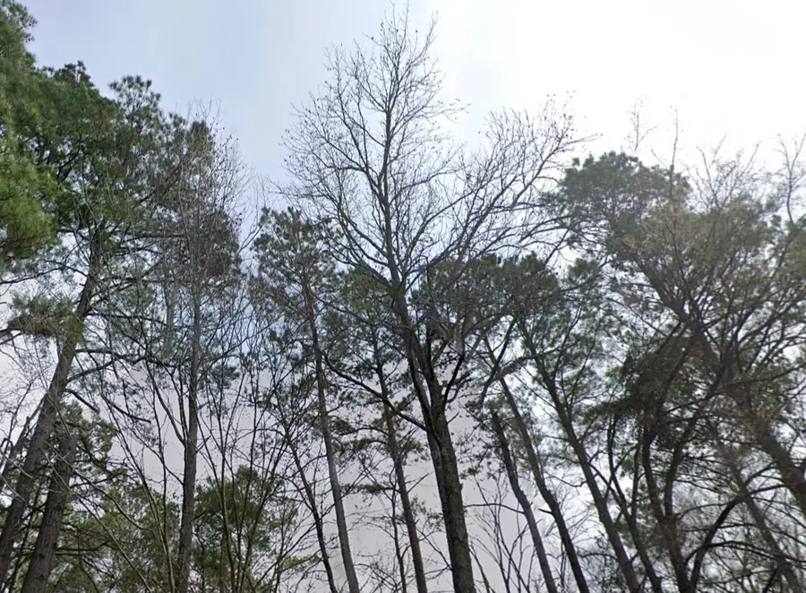 860-852 Co Rd 4224 Rd, Rusk, TX 75785 - #2