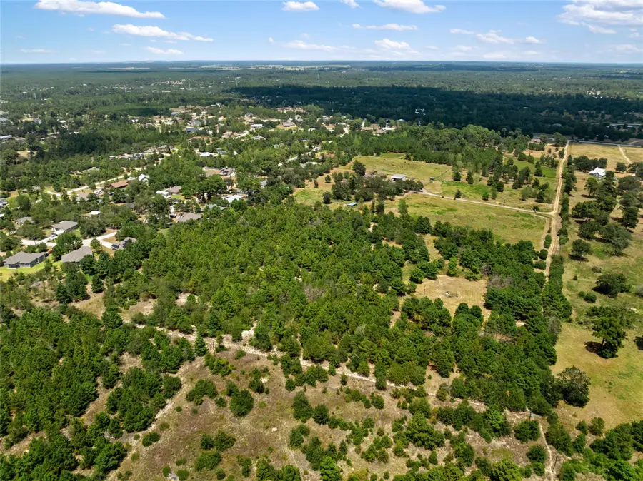 186 Hook Em Horns Dr, Paige, TX 78659 - #3