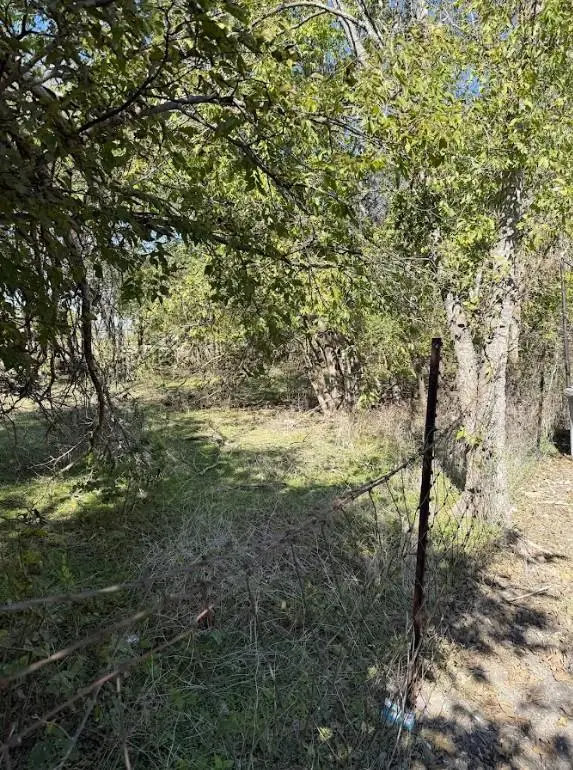 800 Arnold Dr, Bartlett, TX 76511 - #3