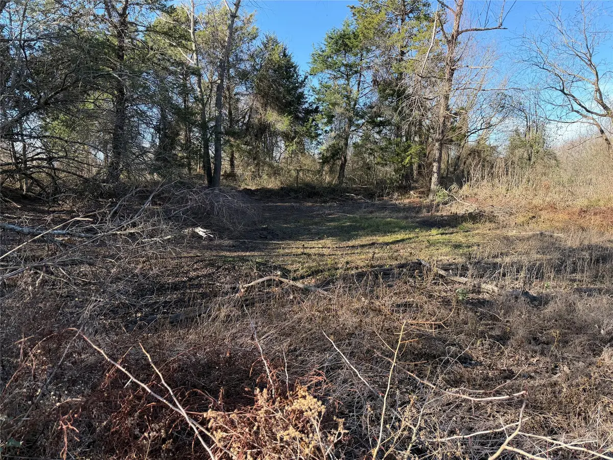 TBD County Road 925 Tract 17 Rd, Teague, TX 76667 - #1