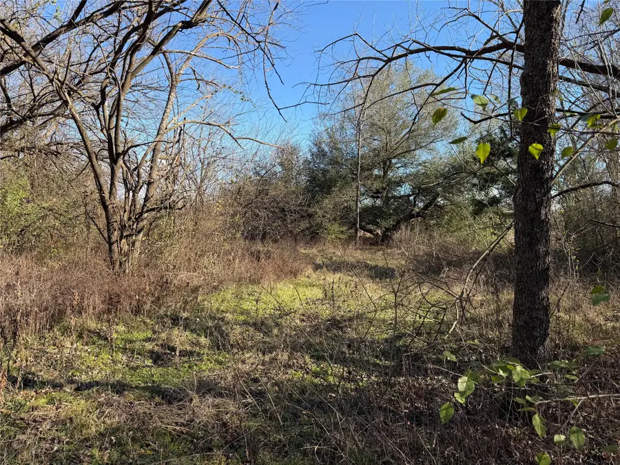 TBD County Road 925 Tract 17 Rd, Teague, TX 76667 - #3