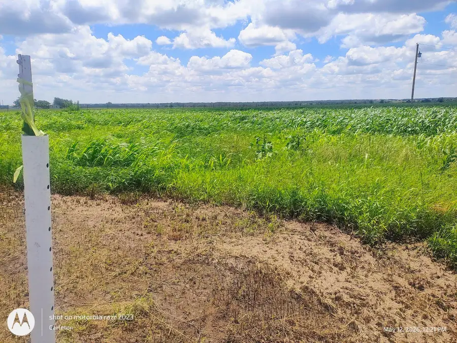 3001 Dolphin (lot 2) Dr, Coupland, TX 78615 - #2