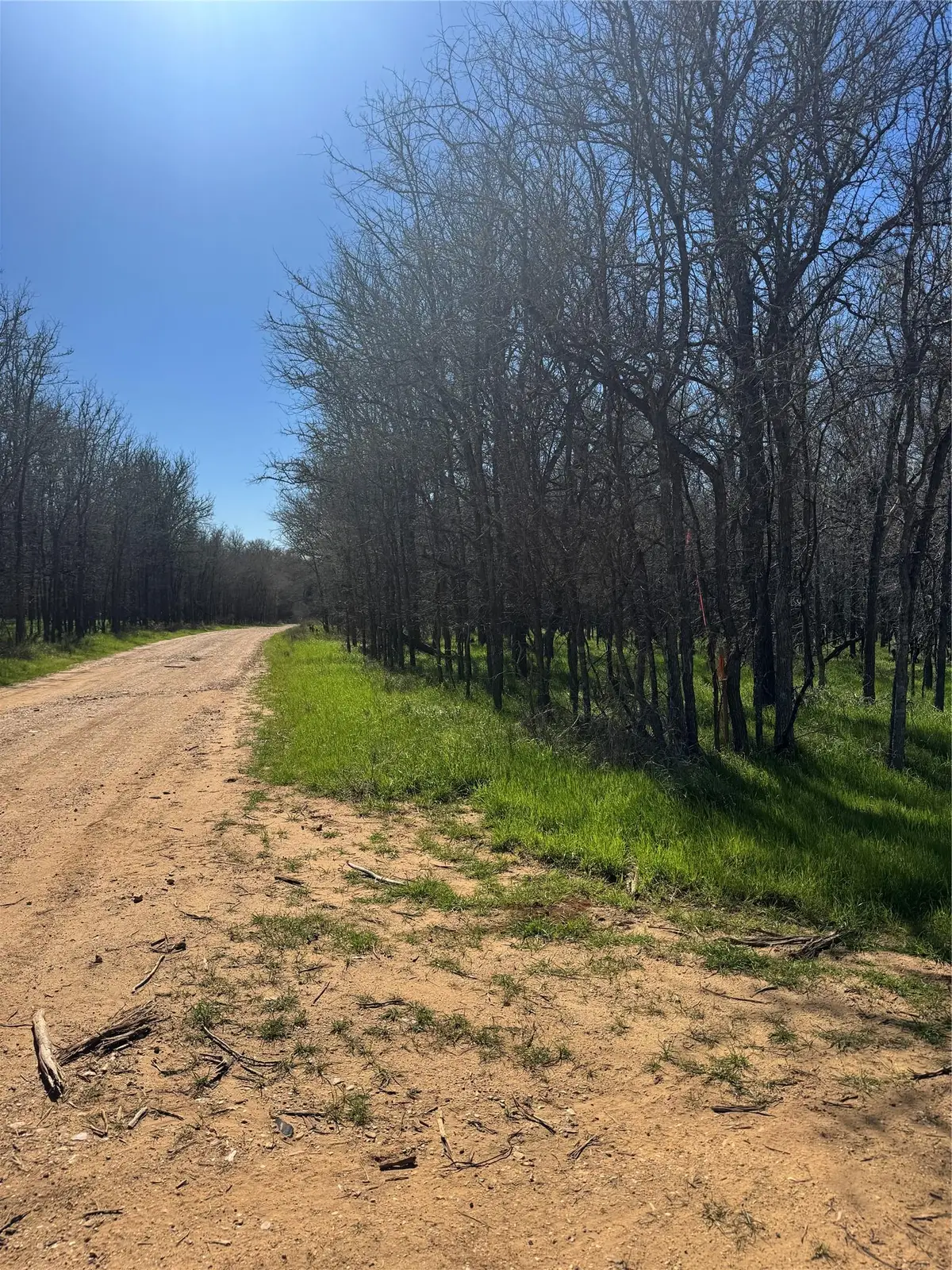 Lot 500 Kaaawa Ln, Bastrop, TX 78602 - #1