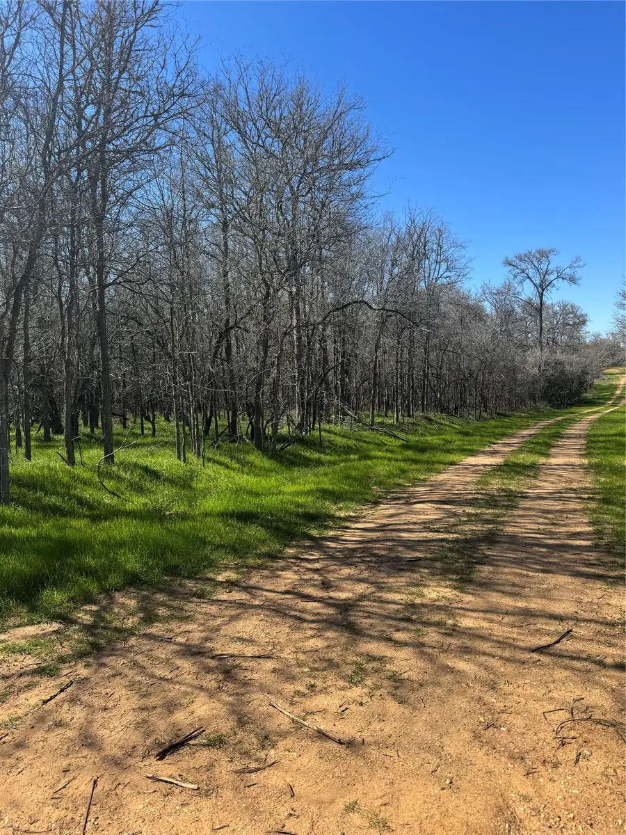Lot 500 Kaaawa Ln, Bastrop, TX 78602 - #2