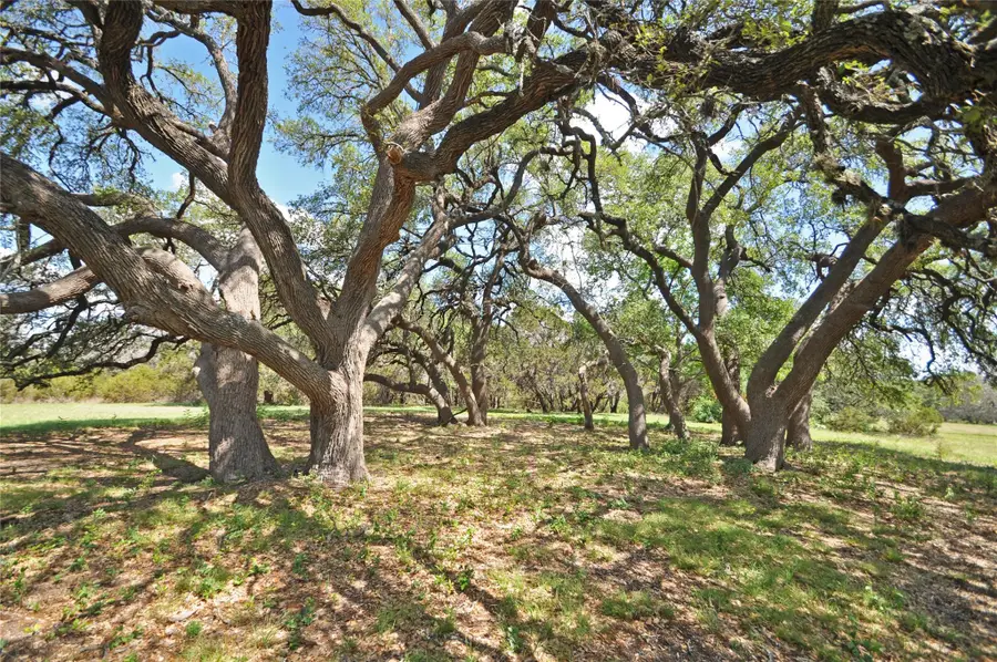 000 County Road 287 (lot 1), Liberty Hill, TX 78642 - #2