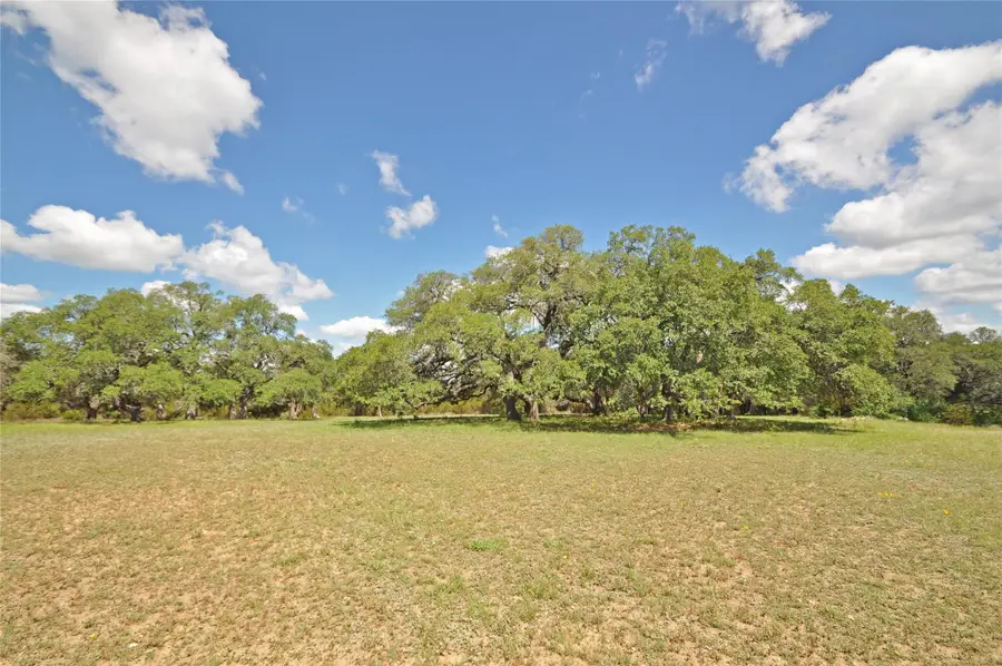 000 County Road 287 (lot 1), Liberty Hill, TX 78642 - #3