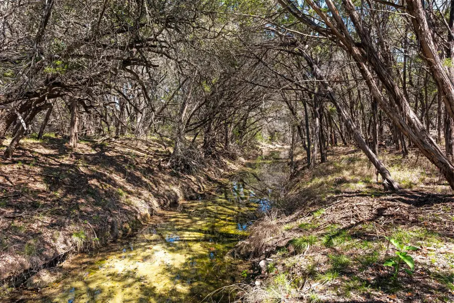 1725 Cripple Creek Sta, Dripping Springs, TX 78620 - Image #2