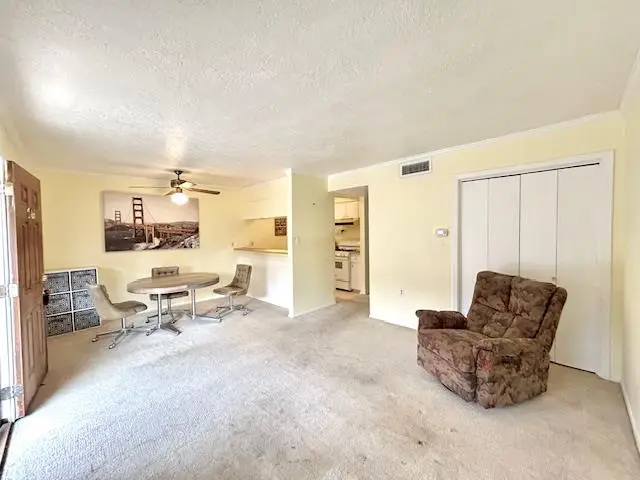 7801 Shoal Creek Blvd #246, Austin, TX 78757 - Image #3