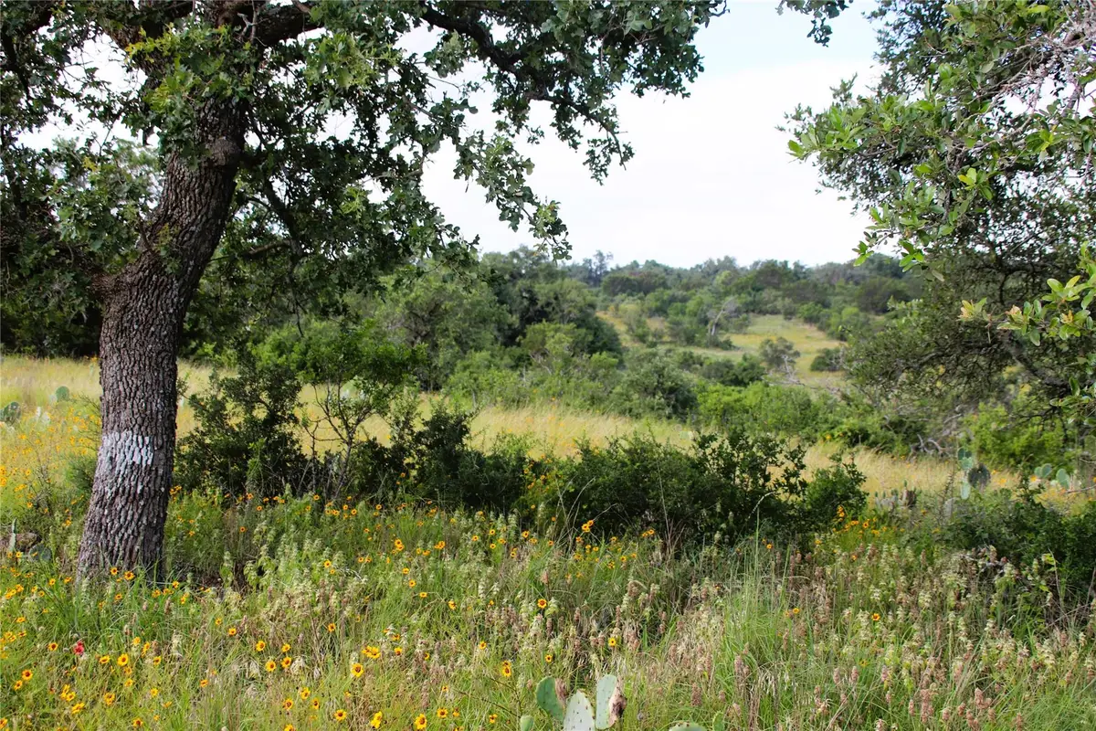 Lot 5 Comanche Rdg, Round Mountain, TX 78663 - #1