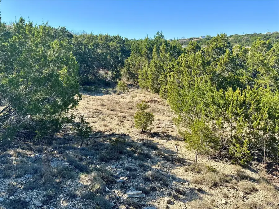 22122 Moulin Dr, Spicewood, TX 78669 - #2