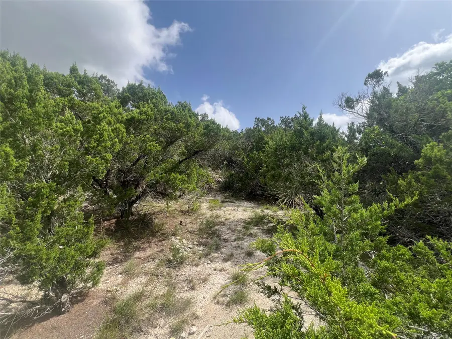 268 Scenic Hills Dr, Canyon Lake, TX 78133 - #2