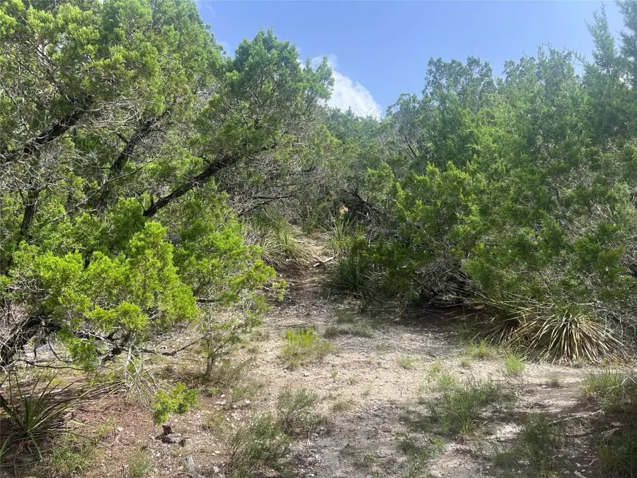 268 Scenic Hills Dr, Canyon Lake, TX 78133 - #3