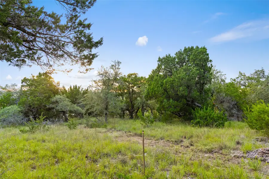 31890 Mirela Ann Rd, Dripping Springs, TX 78620 - #2