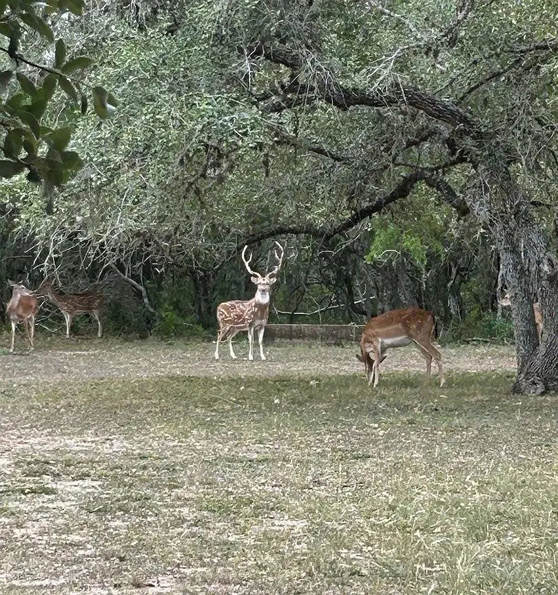 305 Cr 305, Beeville, TX 78102 - #2