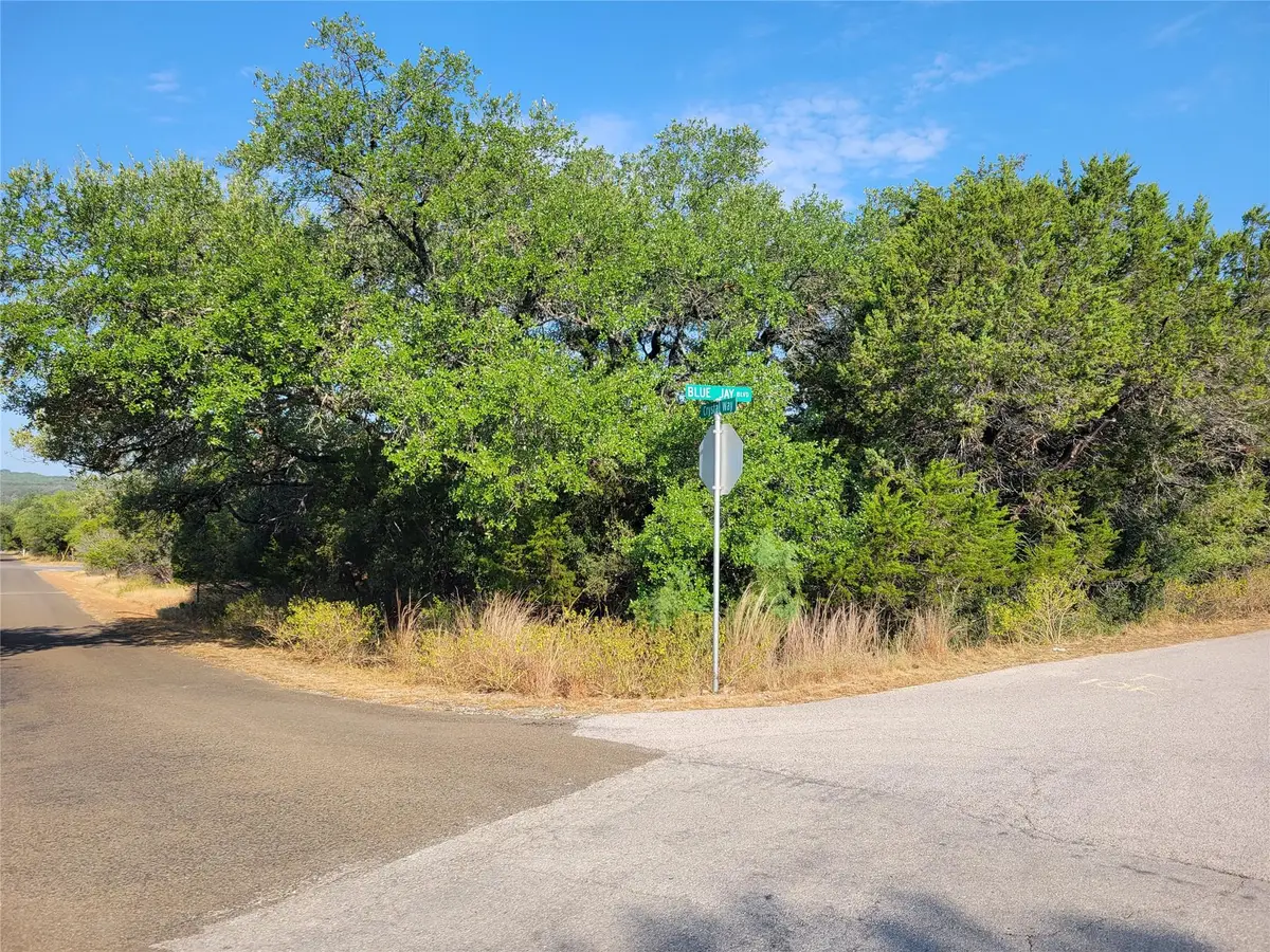 21801 Bluejay Blvd, Lago Vista, TX 78645 - #1