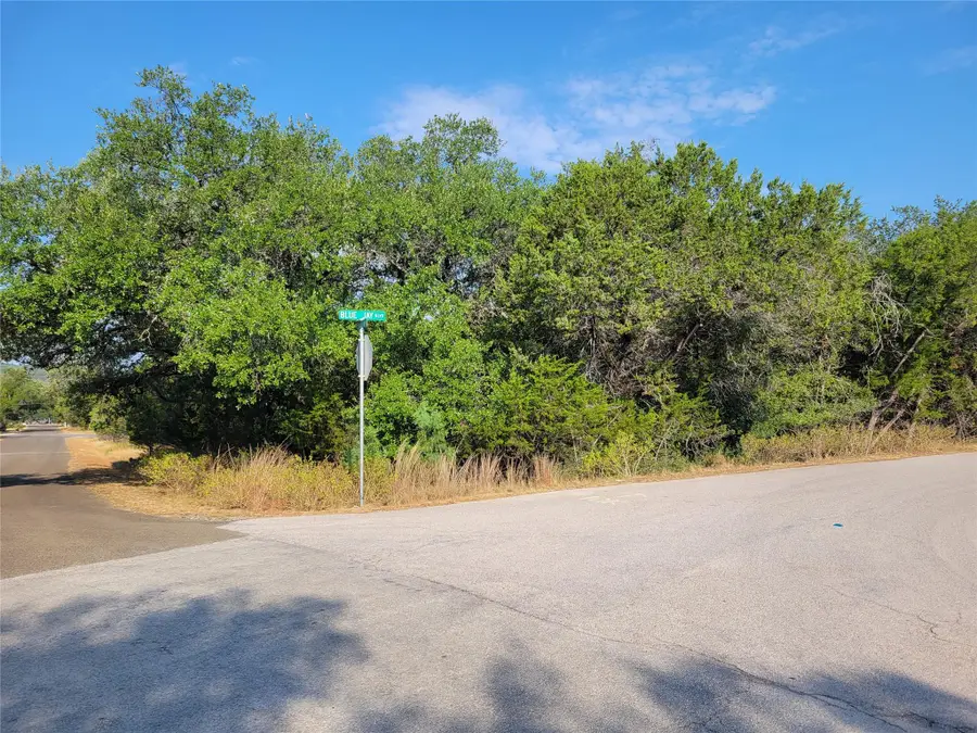 21801 Bluejay Blvd, Lago Vista, TX 78645 - #2