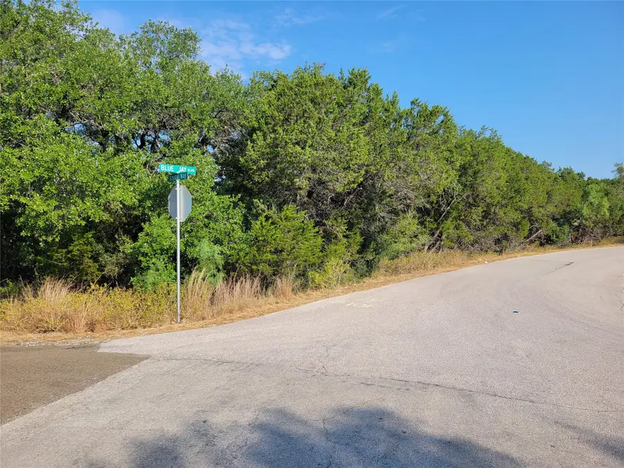 21801 Bluejay Blvd, Lago Vista, TX 78645 - #3