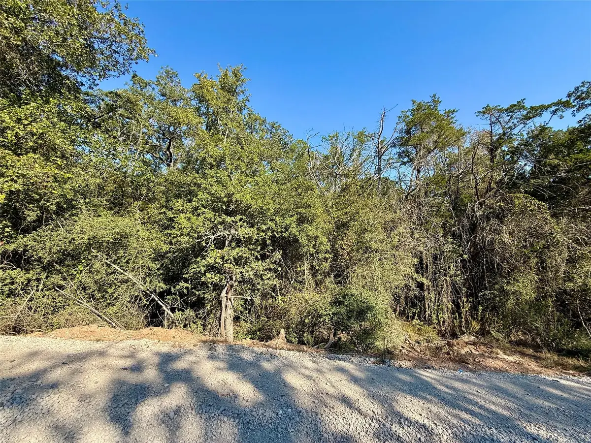 TBD Lot 1233 Hanauma Dr, Bastrop, TX 78602 - #1
