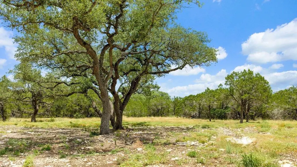 Tract 8 Cypress Cove Rd, Spring Branch, TX 78070 - #1