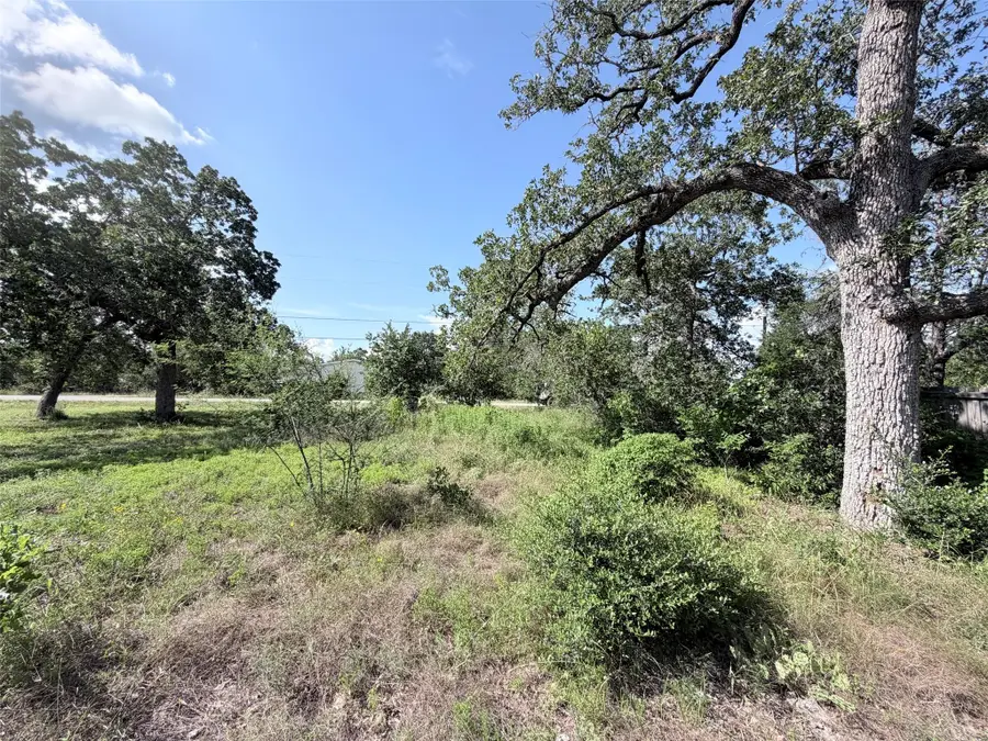 TBD Buffalo Run, Bastrop, TX 78957 - #3