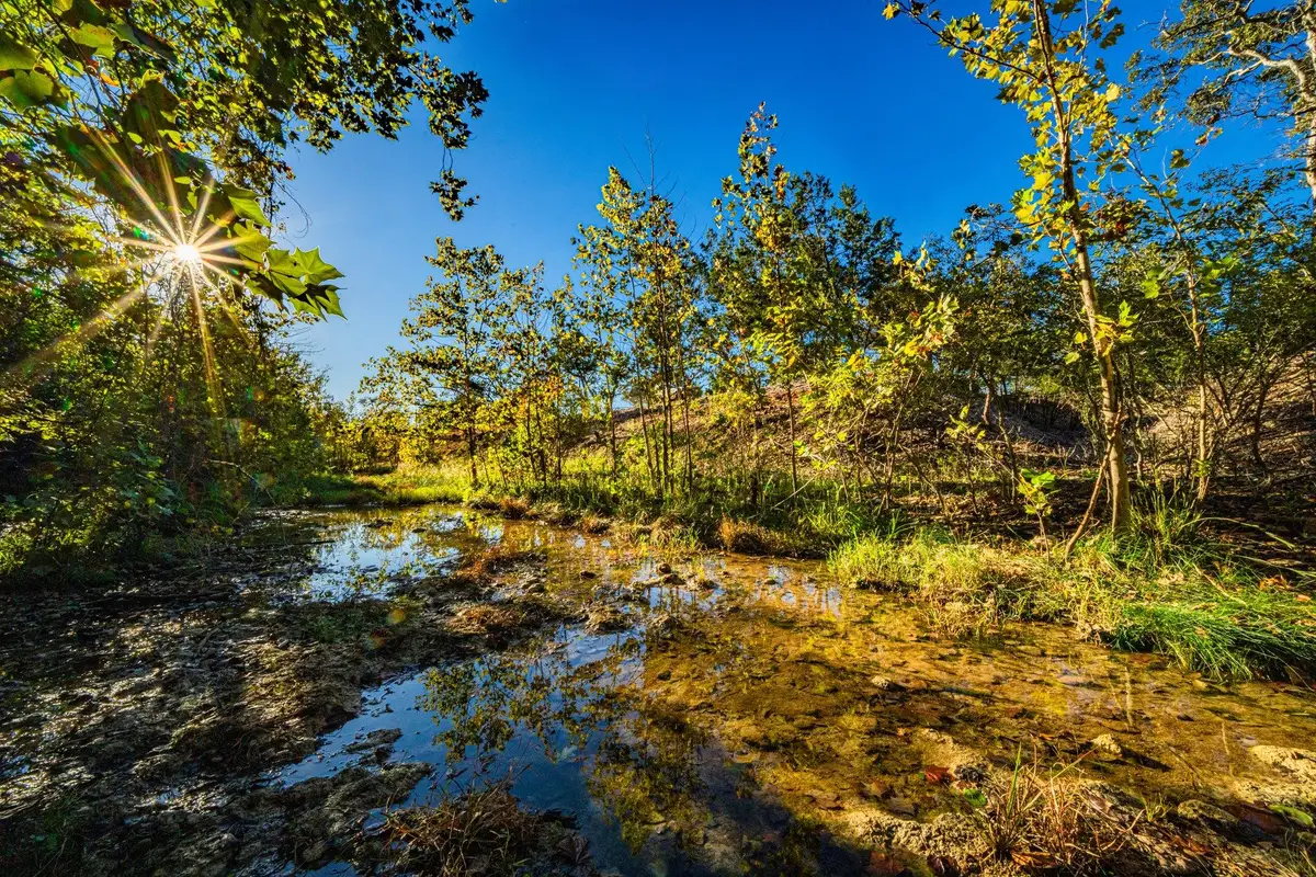 TBD Fm-2843, Salado, TX 76571 - Image #1