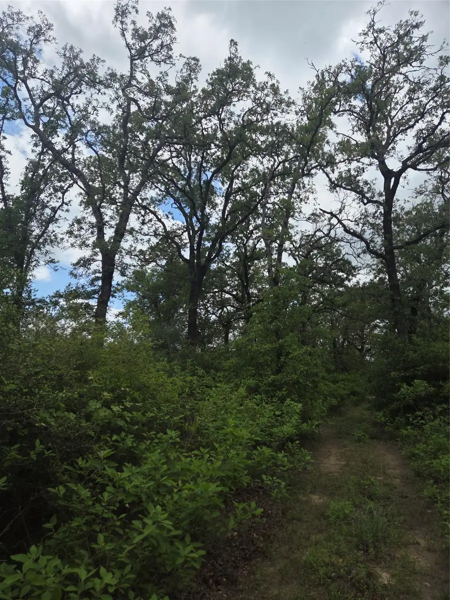 5345 Hwy 36, Milano, TX 76556 - #3