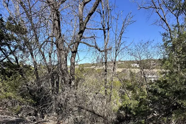 20714 N Ridge St, Lago Vista, TX 78645