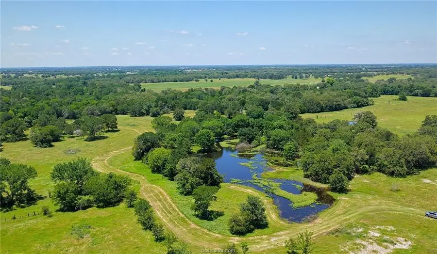 5380 County Road 132 (+/-81 Acres), Somerville, TX 77879 - #3