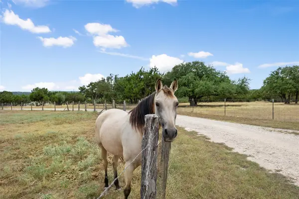 2400 W Fitzhugh Rd, Dripping Springs, TX 78620