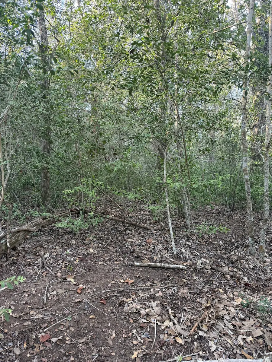 Lot 607 Waimanalo Dr, Bastrop, TX 78602 - #3