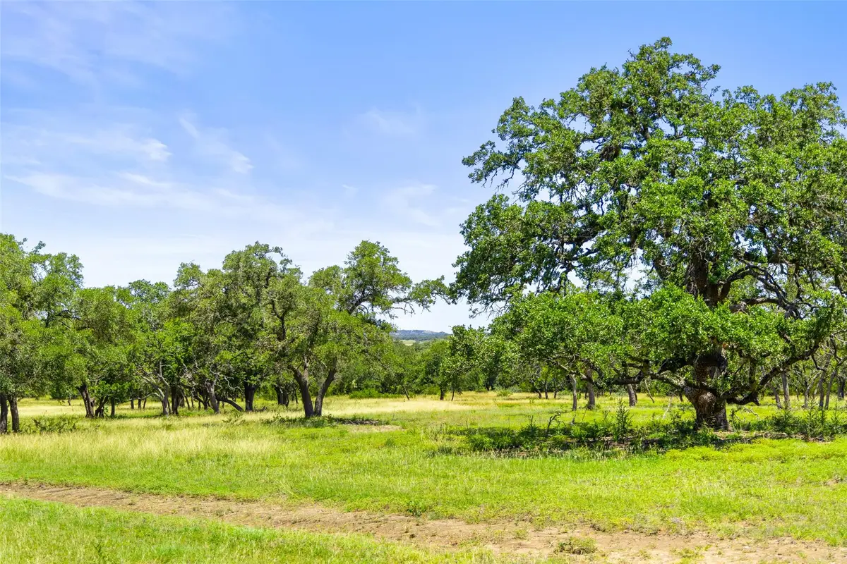 1094 Lindeman Ln, Blanco, TX 78606 - Image #1