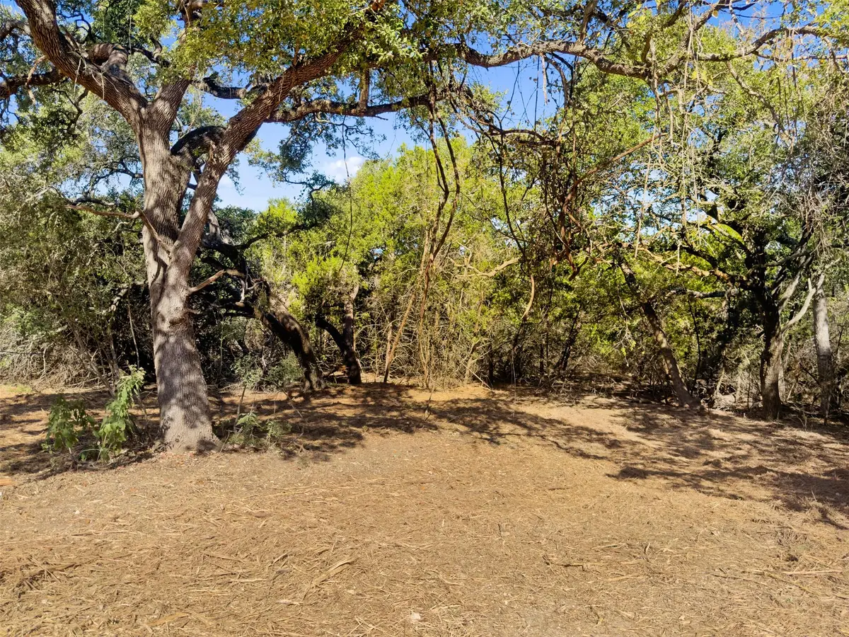 817 Rutherford, Fischer, TX 78623 - #1