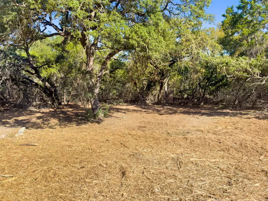 817 Rutherford, Fischer, TX 78623 - #3