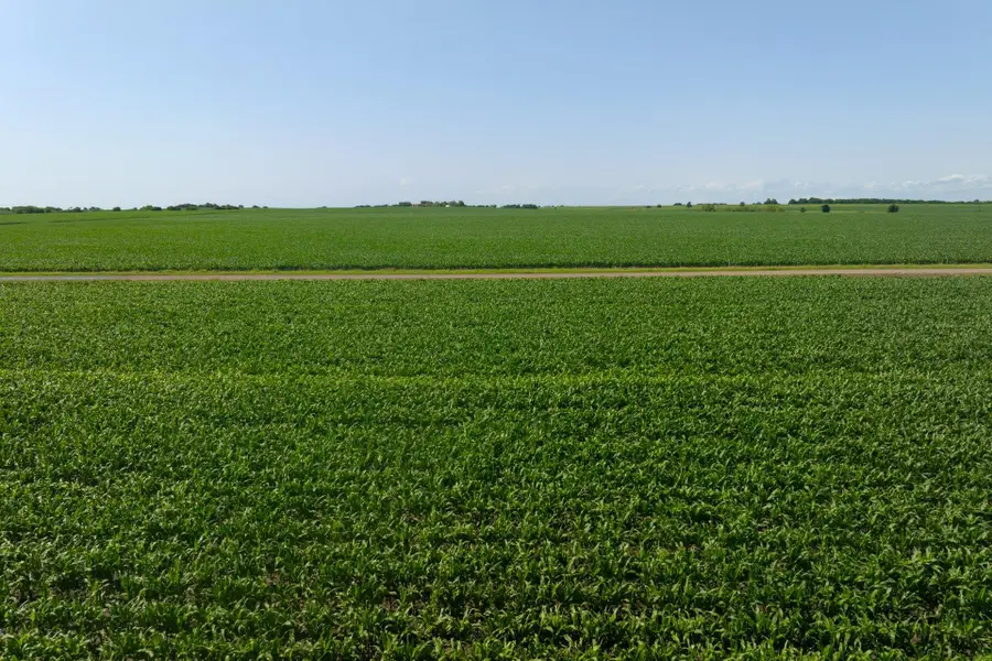 2866 County Road 425, Thorndale, TX 76577 - #3