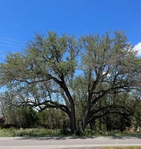 20703 High Dr, Lago Vista, TX 78645 - #1
