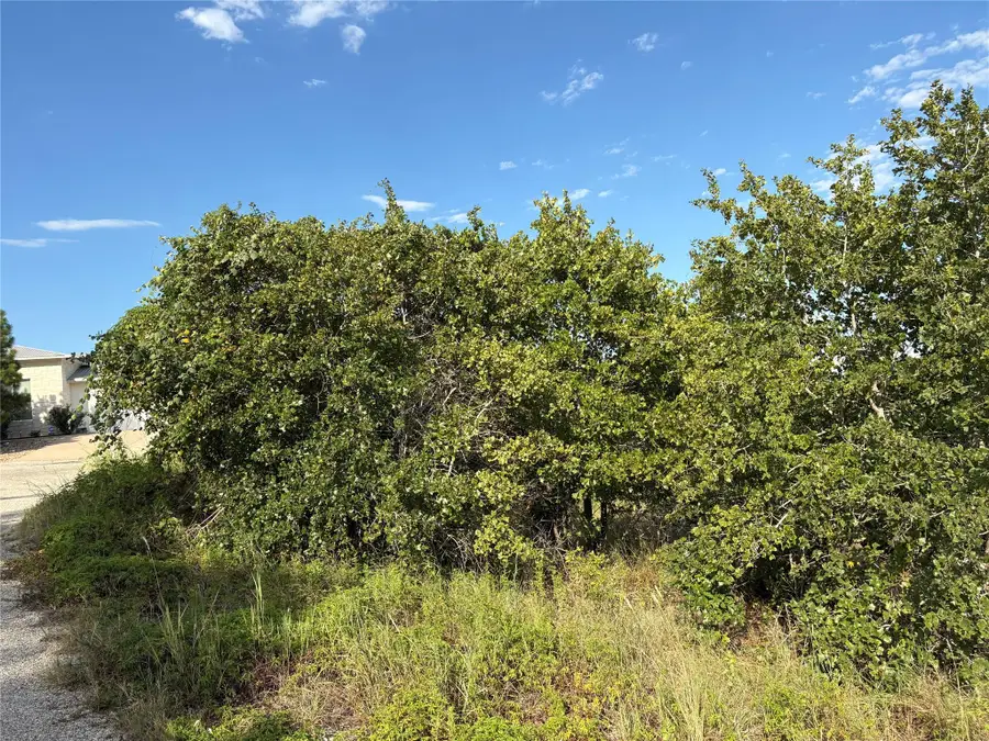 TBD Kimo Ct, Bastrop, TX 78602 - Image #3