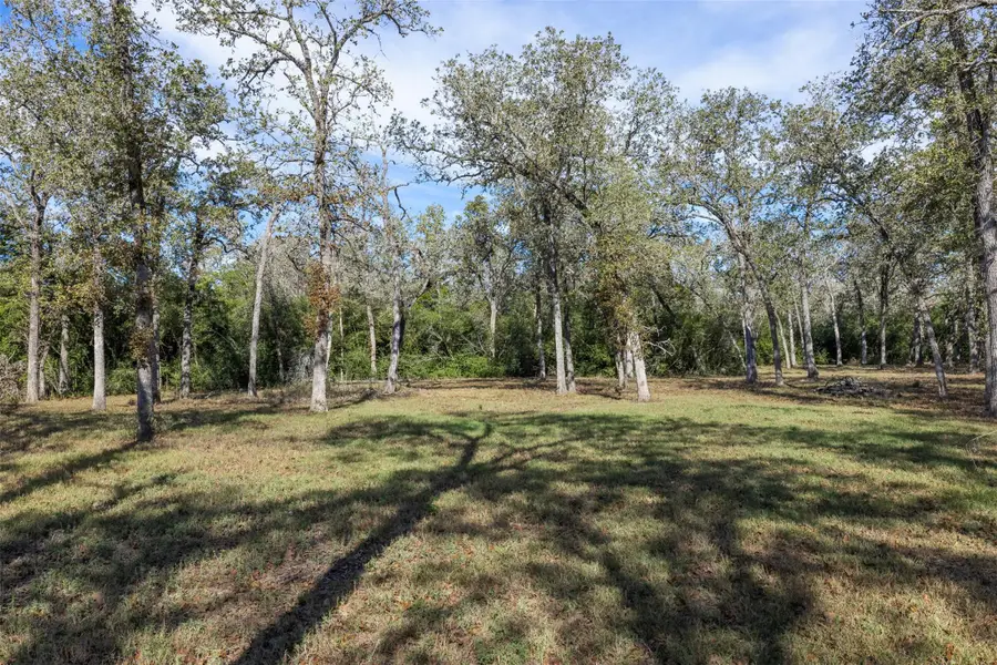 217 Timber Lake Dr, La Grange, TX 78945 - Image #3