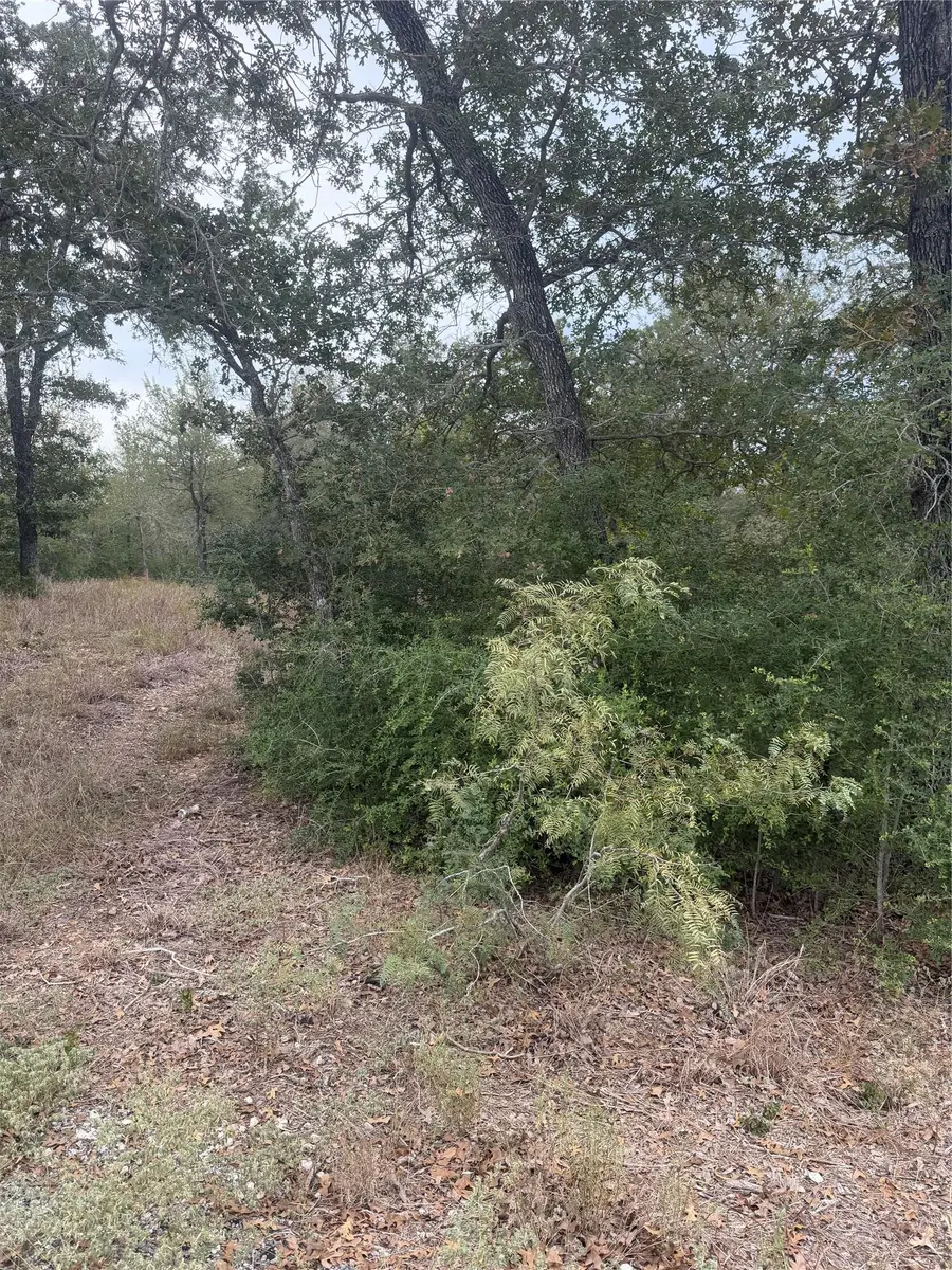 4 Lots Mokulua Mokuleia Cir, Bastrop, TX 78602 - #2