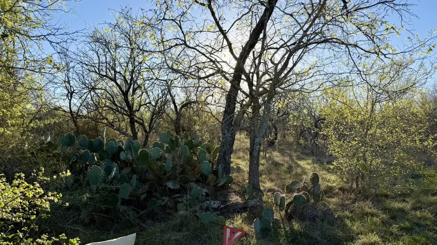 1250 Spanish Oaks Blvd, Lockhart, TX 78644 - #2