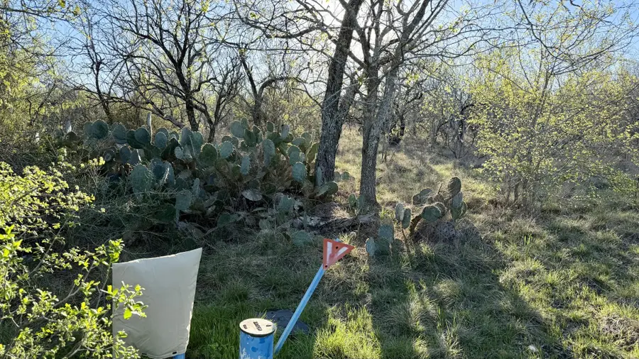 1250 Spanish Oaks Blvd, Lockhart, TX 78644 - #3