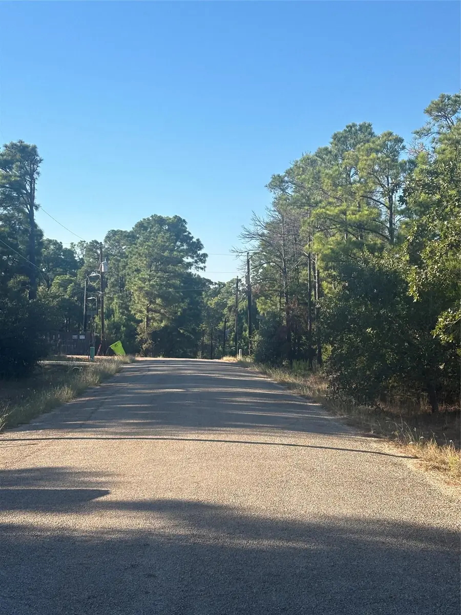TBD Pine Cone Dr, Bastrop, TX 78602 - #2