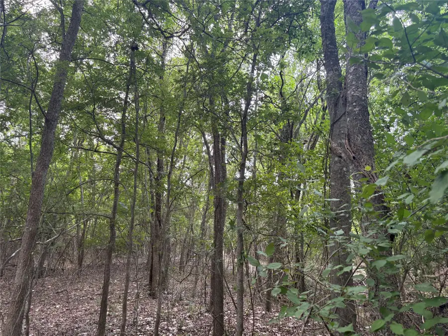 1500 Bottoms East Rd, Troy, TX 76579 - #3