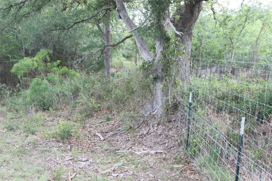 2915 Tumbleweed Trl, Dale, TX 78616 - #2