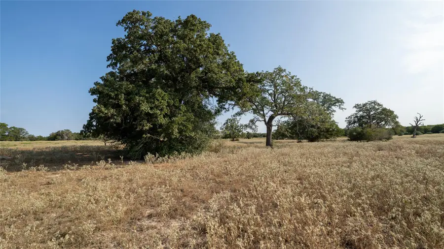 TBD TRACT 5 Cedar Rock Rd, Rosanky, TX 78953 - #3