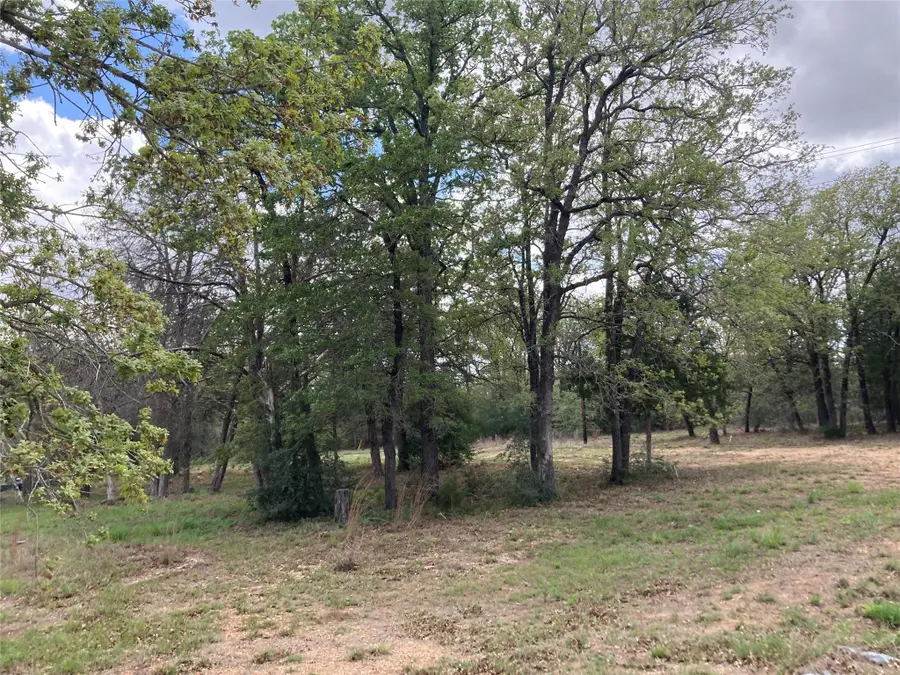 314 Green Oaks Dr #Lot 14-C, Bastrop, TX 78602 - #3